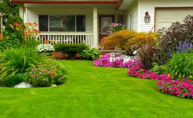 Expert yard cleanup service for outdoor upgrades across Bradenton, FL - Mowses Lawn Care