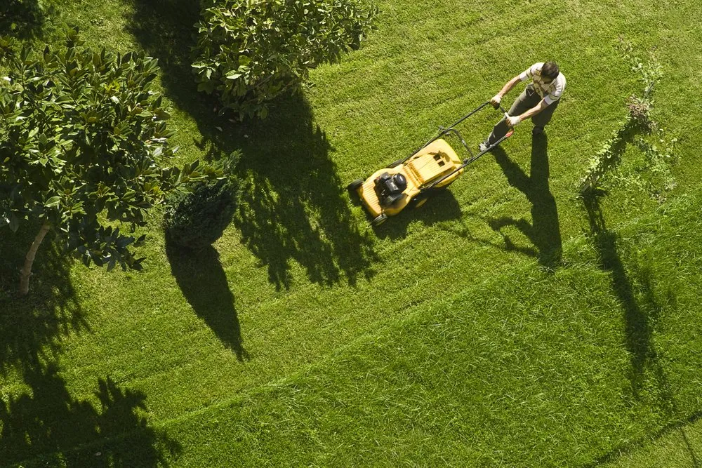 Reliable lawn mowing service experts serving Watertown, MA - Mowsurance