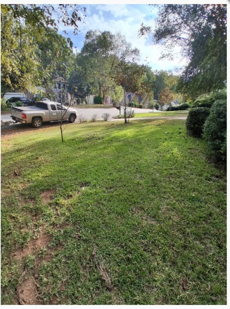 Trusted landscape design for year-round maintenance in Stone Mountain, GA by Mowtastic