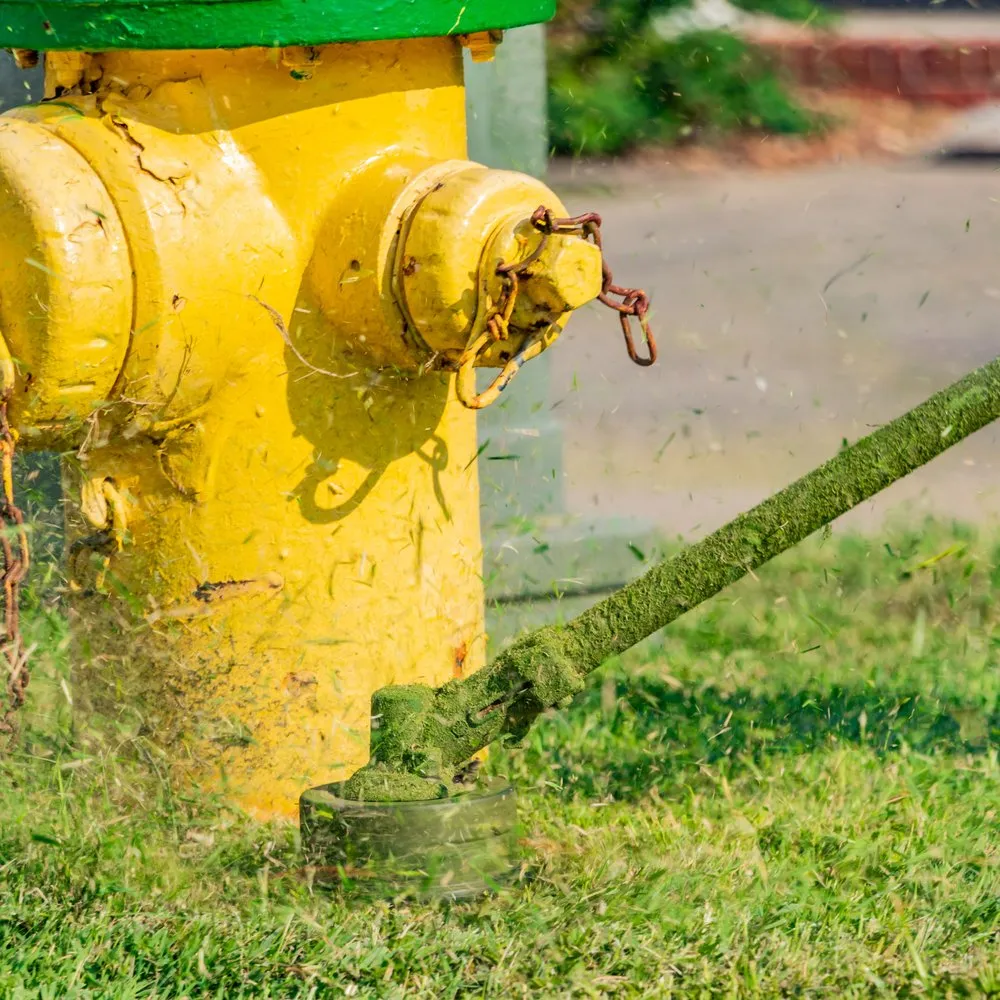 Affordable landscaping services for homes in Clarksville, TN by MowTime