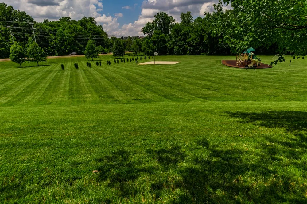 Custom landscaping services experts serving Clarksville, TN - MowTime