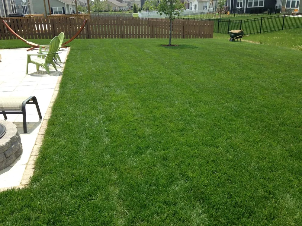 Trusted yard maintenance in Noblesville, IN - Mowtime Lawn & Landscaping