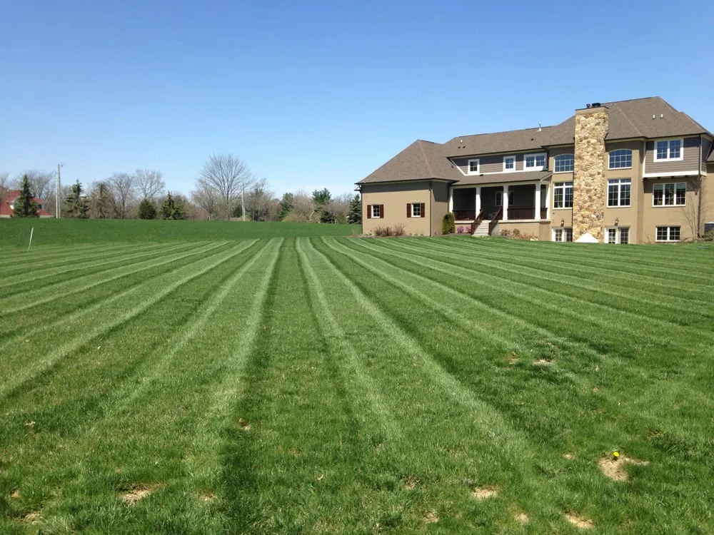 Local yard cleanup service in Noblesville, IN - Mowtime Lawn & Landscaping
