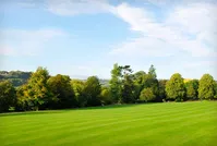 Professional yard maintenance in Noblesville, IN by Mowtime Lawn & Landscaping