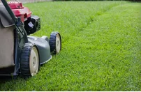 Affordable lawn mowing service for residential properties across Noblesville, IN - Mowtime Lawn & Landscaping