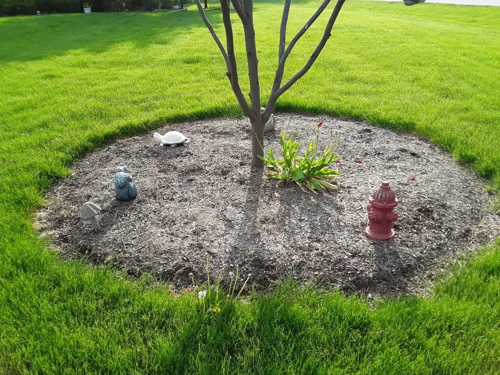 Trusted landscape design for beautiful yards across Yorkville, IL - MowTime Lawn Care
