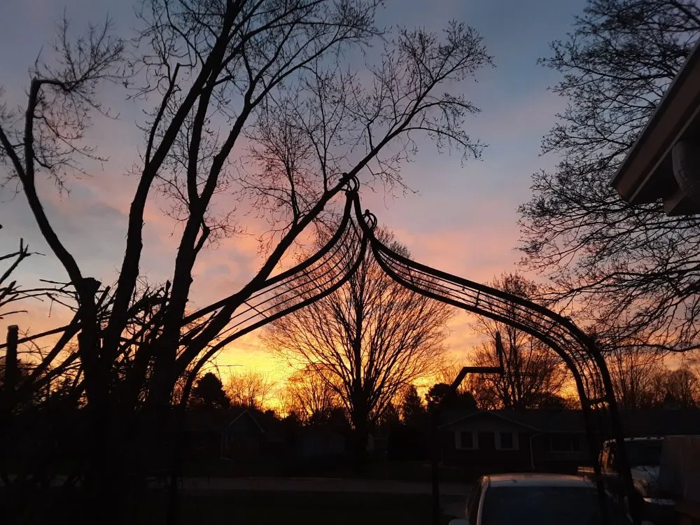 Trusted residential landscaping experts serving Yorkville, IL - MowTime Lawn Care