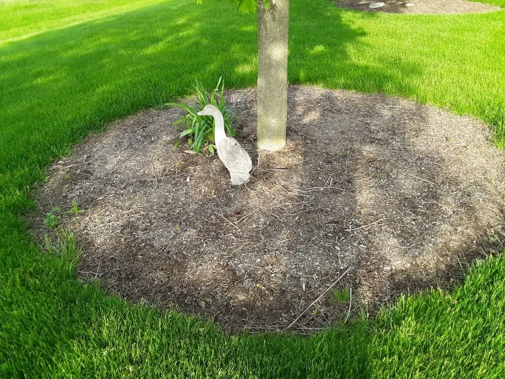 Trusted landscape design experts serving Yorkville, IL - MowTime Lawn Care