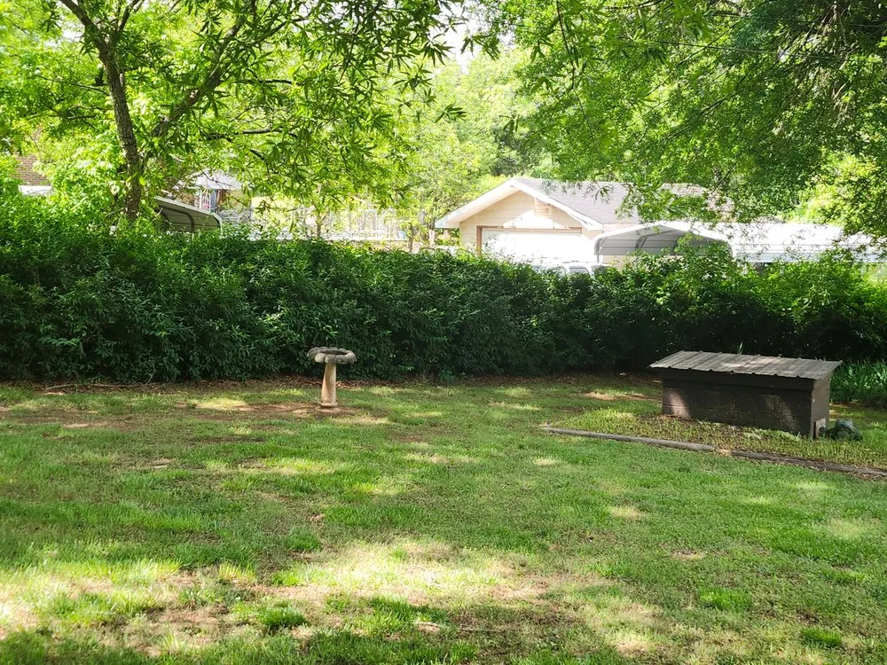 Top-rated yard cleanup service for year-round maintenance in Conover, NC by Mowtivated Landscape