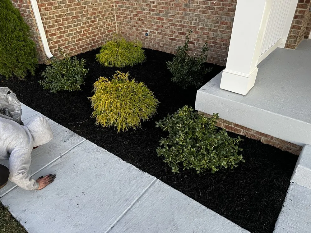 Trusted lawn care service in Inwood, WV by MOwtivated Landscaping