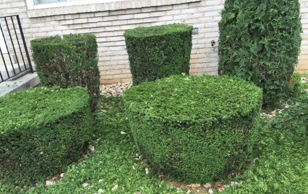 Reliable landscape installation in Inwood, WV by MOwtivated Landscaping