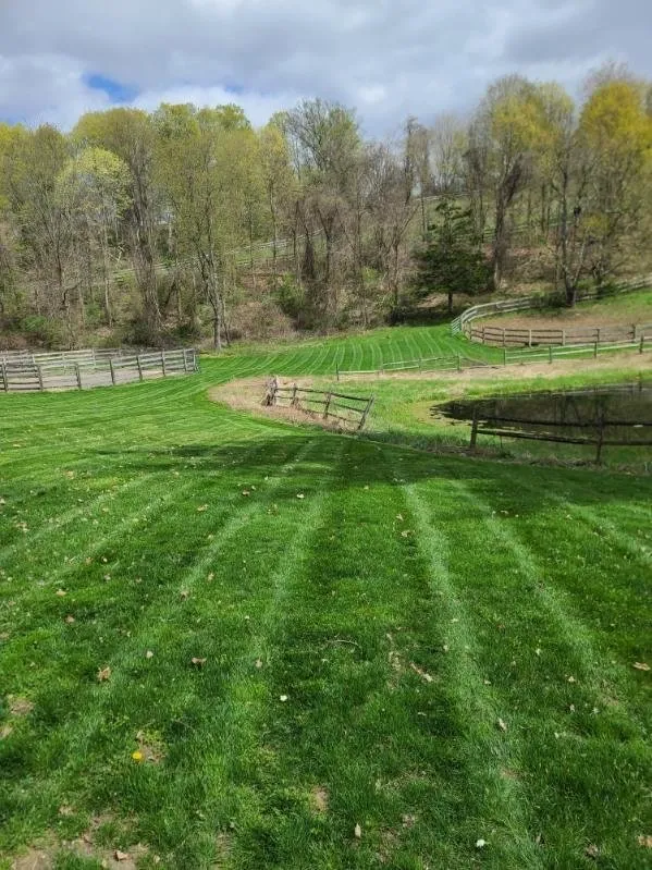 Trusted yard maintenance experts serving Dover plains, NY - Mowtivated Lawn & Landscape