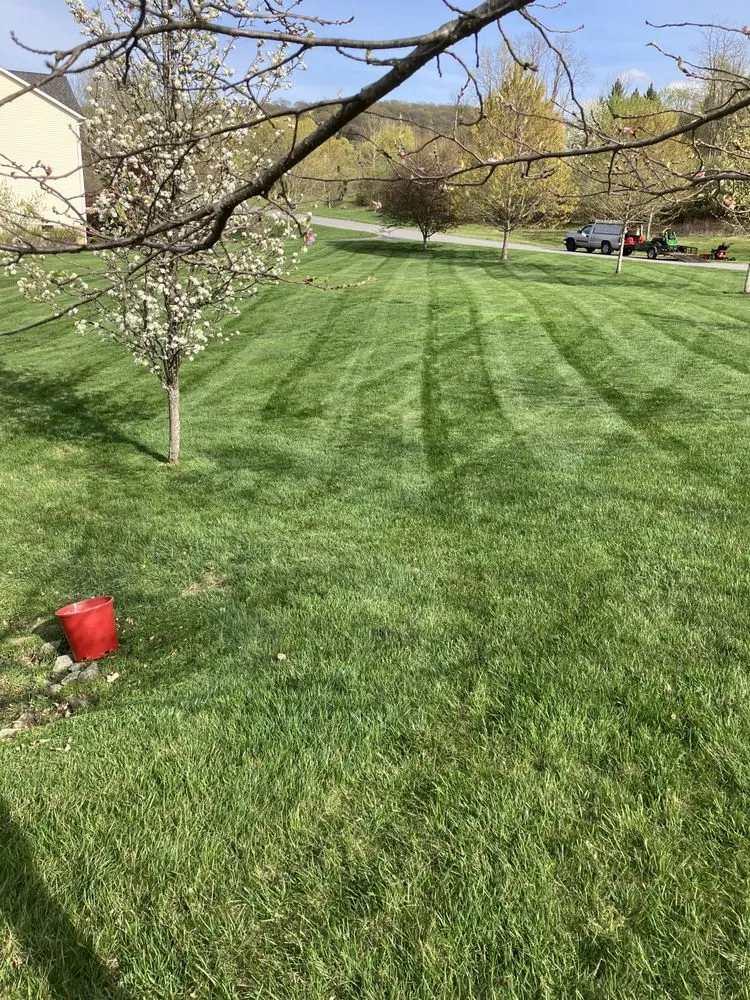 Trusted landscaping services in Dover plains, NY - Mowtivated Lawn & Landscape