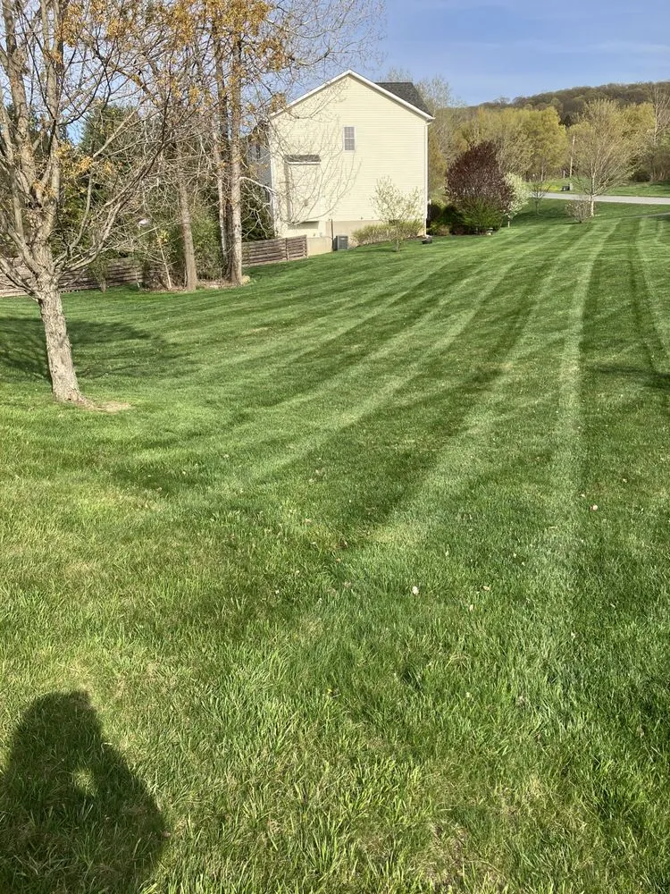 Expert yard maintenance experts serving Dover plains, NY - Mowtivated Lawn & Landscape