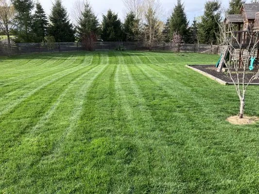 Mowtivated Lawn & Landscape