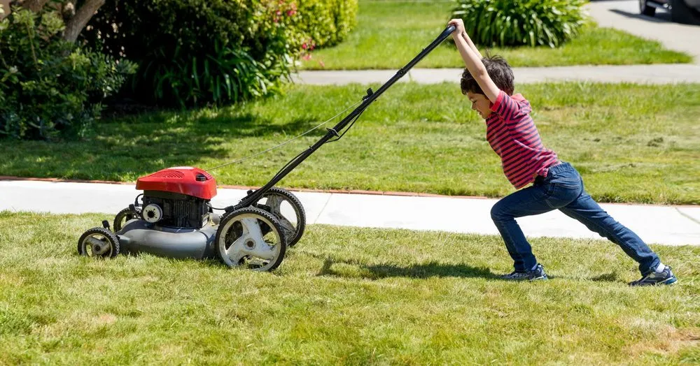 Affordable yard cleanup service with custom design in Humble, TX by Mowtivated Lawn Care