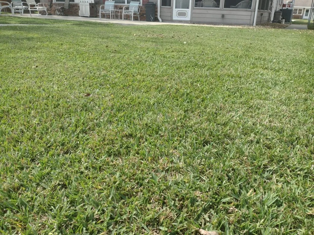 Trusted landscape installation with custom design across Lake Panasoffkee, FL - Mowtivated Lawn Care