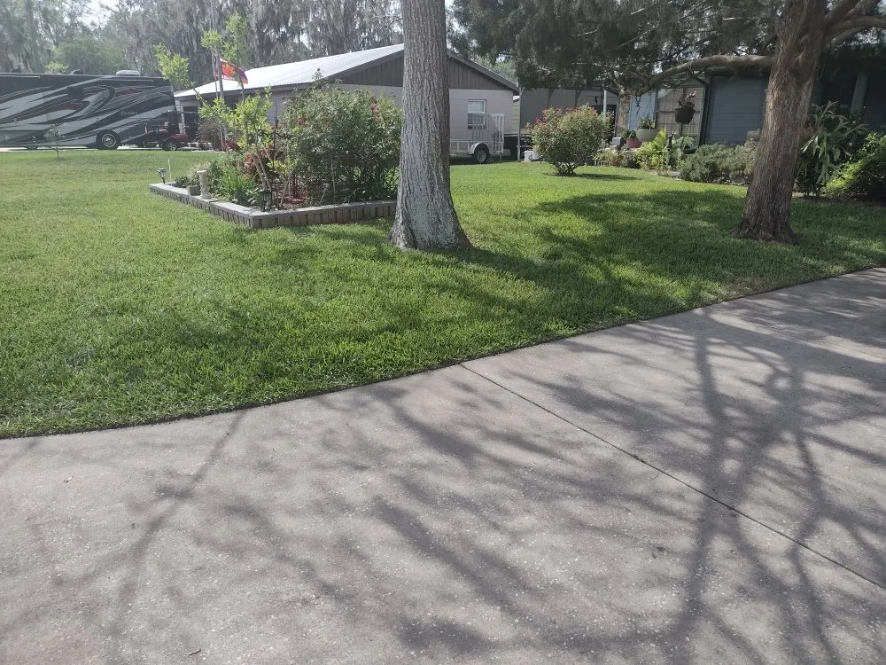 Professional landscape installation in Lake Panasoffkee, FL - Mowtivated Lawn Care