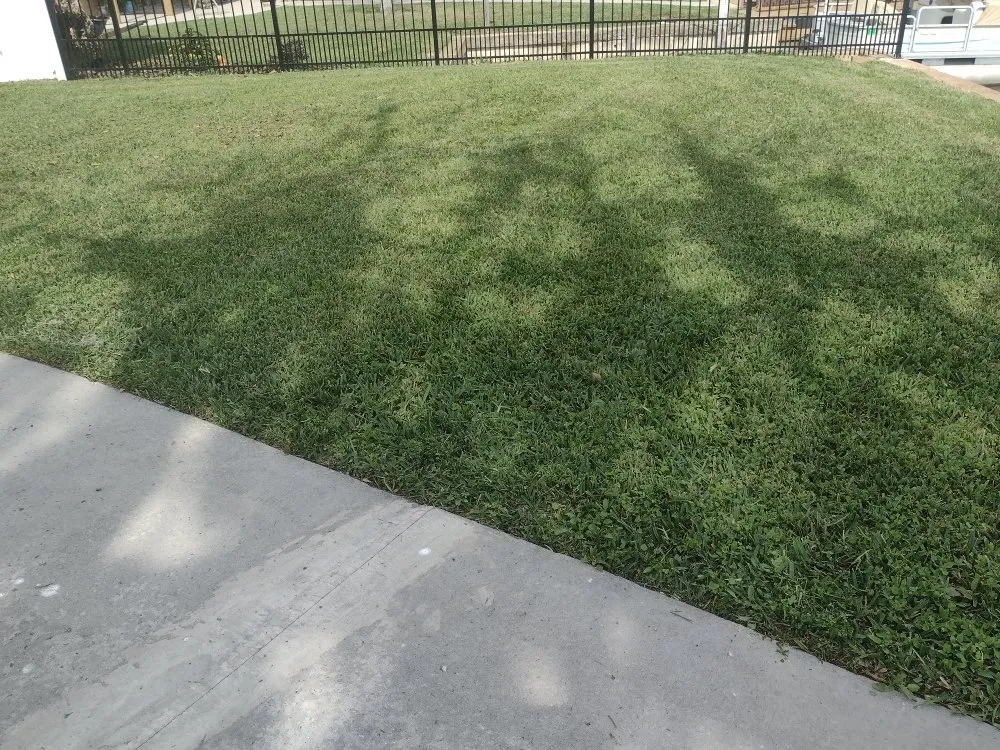 Local landscaping services for residential properties across Lake Panasoffkee, FL - Mowtivated Lawn Care