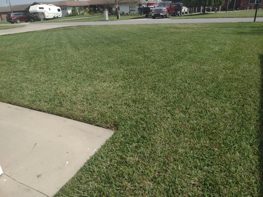 Trusted landscaping services experts serving Lake Panasoffkee, FL - Mowtivated Lawn Care