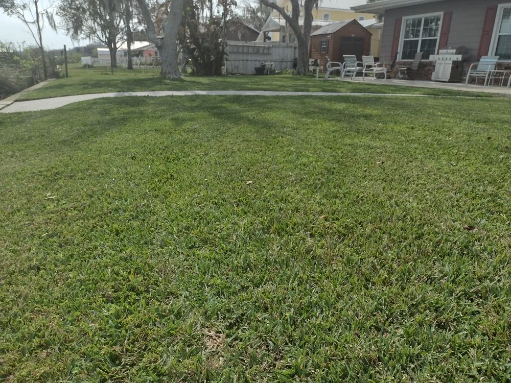 Top-rated residential landscaping in Lake Panasoffkee, FL by Mowtivated Lawn Care