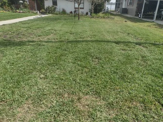 Mowtivated Lawn Care