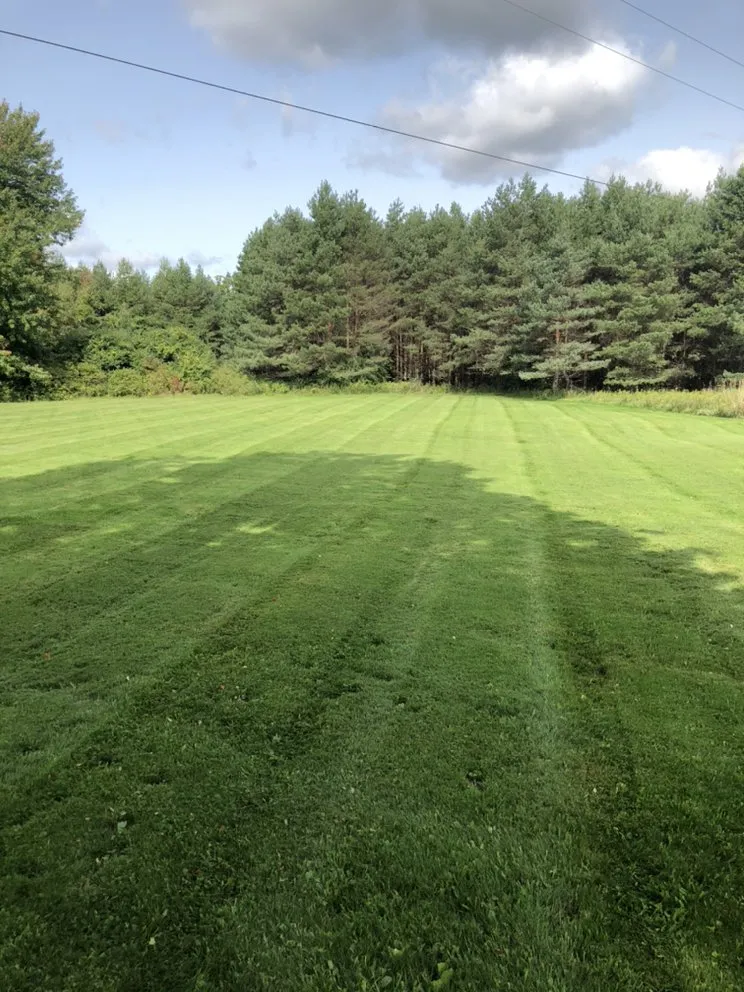 Custom yard cleanup service for residential properties across Massena, NY - Mowtivated Lawn Care