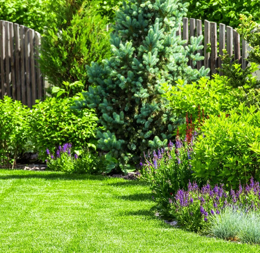 Reliable landscape design in Spokane, WA by Mowtivated Lawn Care Services