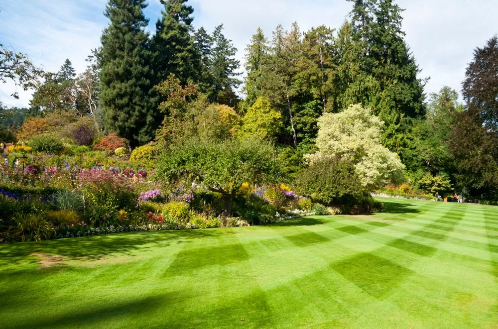Custom outdoor landscaping for residential properties in Spokane, WA by Mowtivated Lawn Care Services