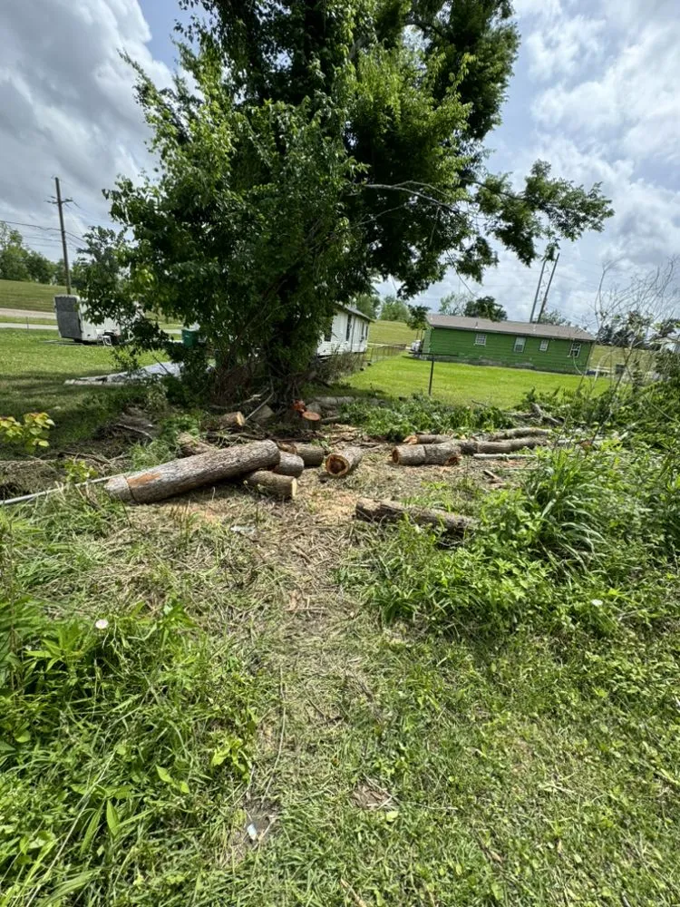 Professional lawn mowing service experts serving Laplace, LA - MOwtivated Lawn Pros