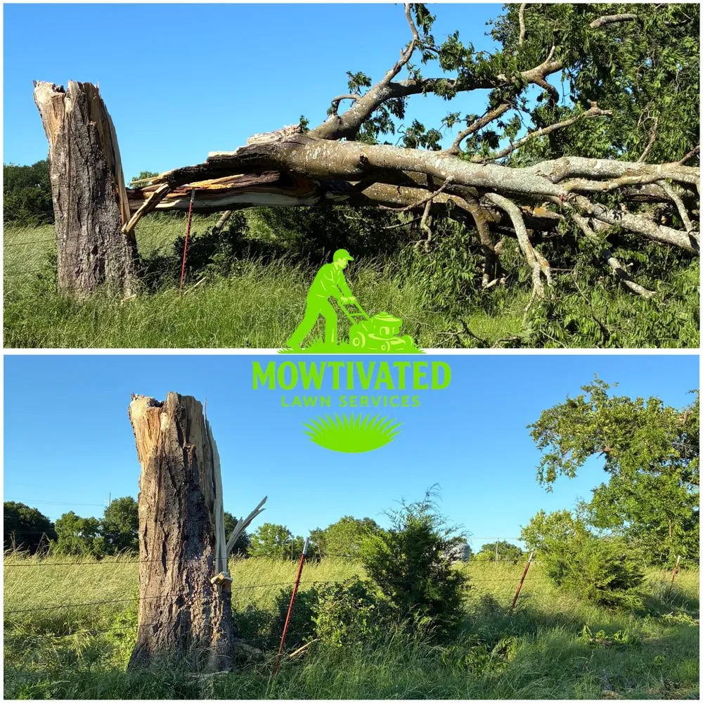 Professional lawn care service experts serving McAlester, OK - Mowtivated Lawn Services