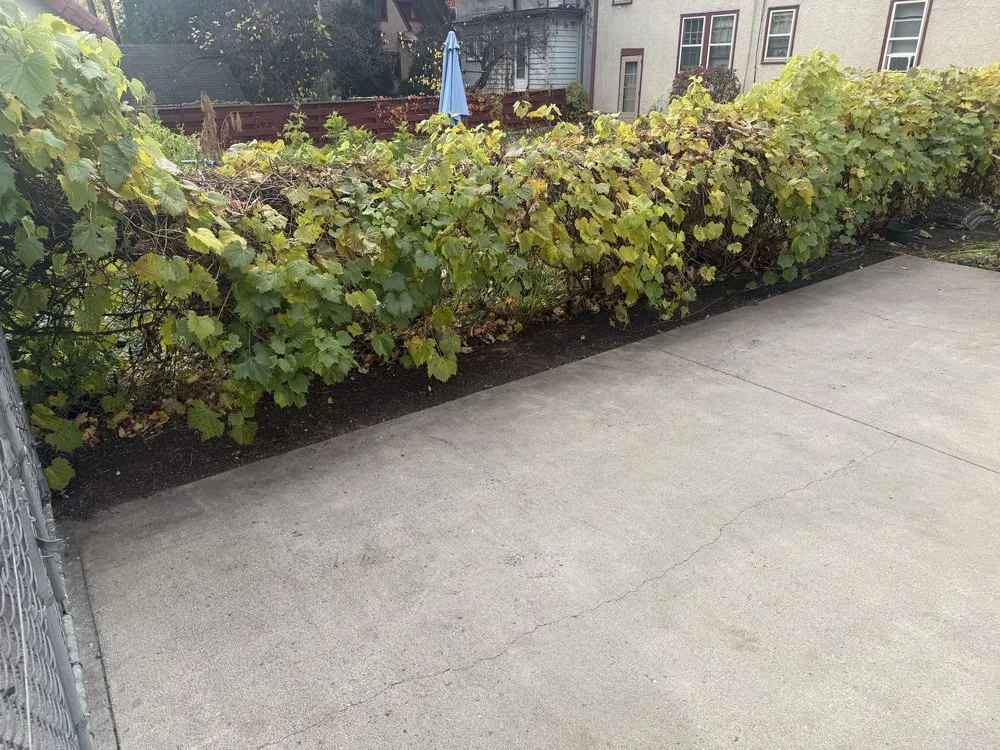 Trusted residential landscaping for beautiful yards in Minneapolis, MN by Mowtivated Outdoor Services