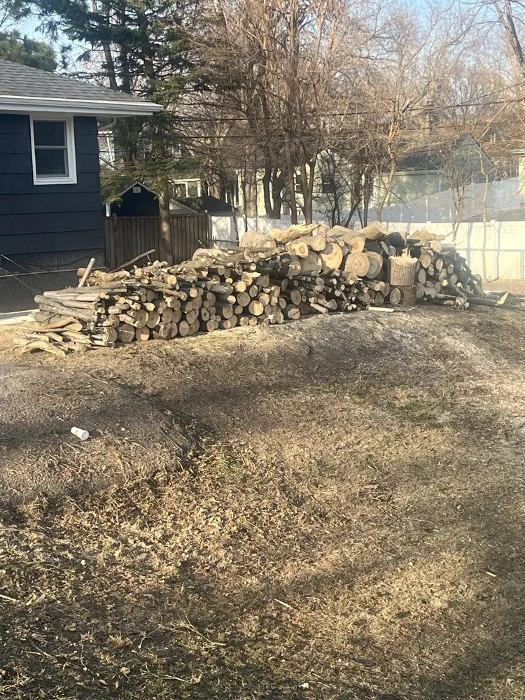 Local landscape design in Minneapolis, MN by Mowtivated Outdoor Services