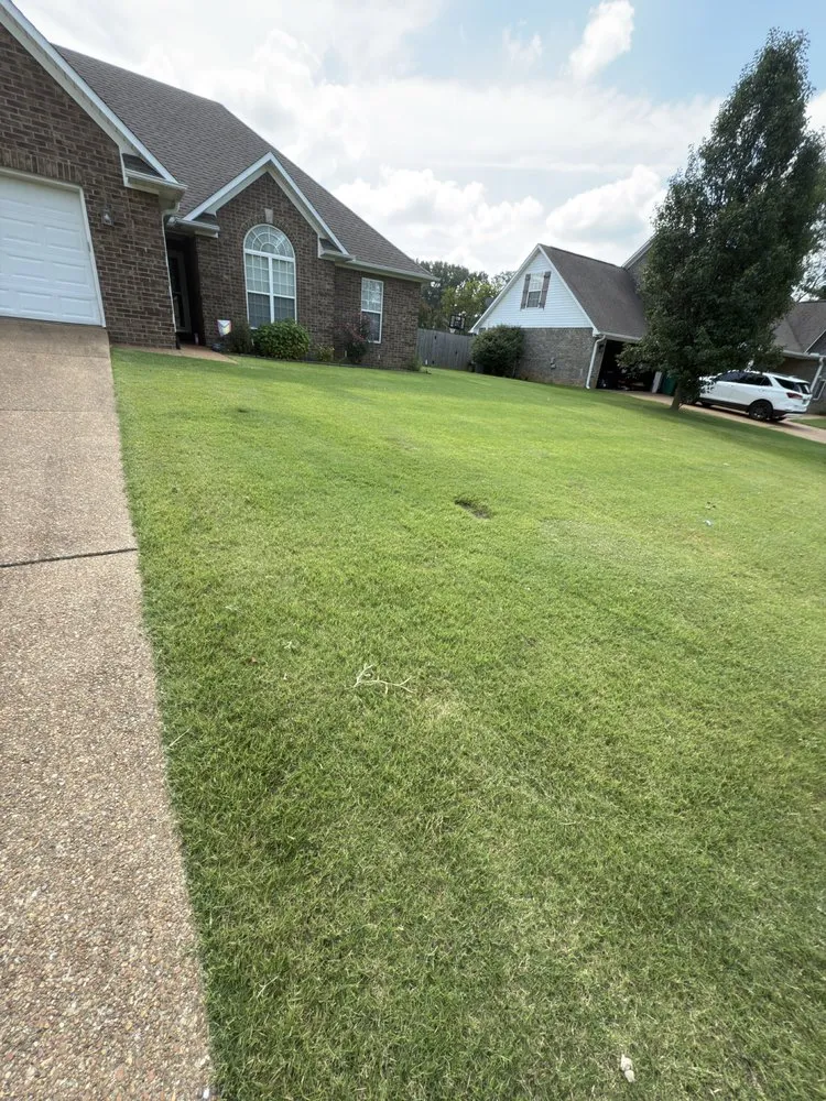 Professional landscape installation experts serving Medina, TN - Mowtivation Solutions