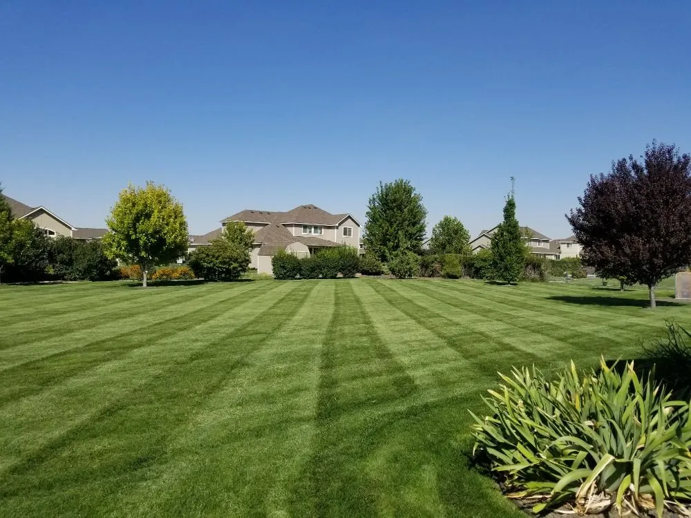 Affordable landscape installation experts serving Richland, WA - Mowtivations