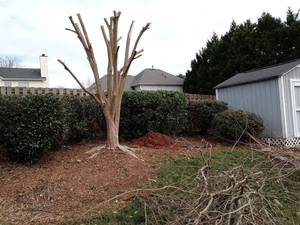 Expert outdoor landscaping for year-round maintenance in Monroe, NC by Mowtown Grounds Management