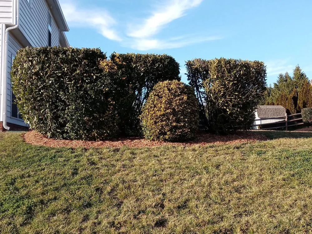 Reliable lawn care service in Monroe, NC - Mowtown Grounds Management