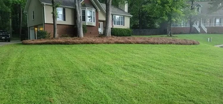 Top-rated yard maintenance for homes across Pelham, AL - Mowtown Lawn Care