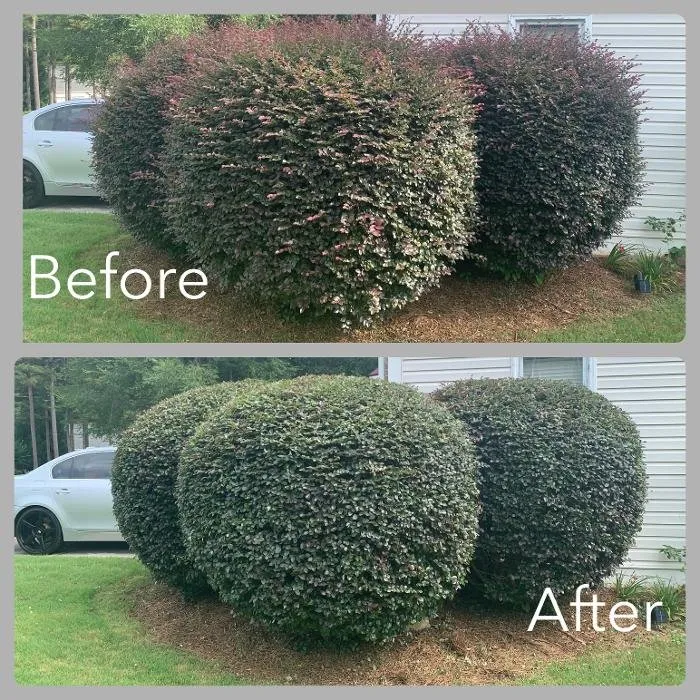 Expert lawn care service in Powder Springs, GA - Mowtown Lawn Care