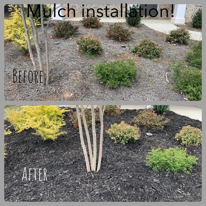 Top-rated lawn mowing service in Powder Springs, GA by Mowtown Lawn Care