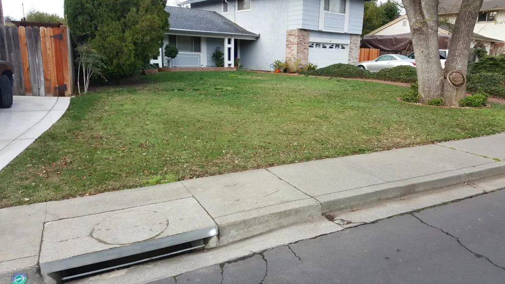 Professional yard cleanup service in Vacaville, CA - Mowtown Lawn Painting