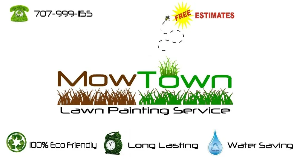 Custom yard cleanup service in Vacaville, CA - Mowtown Lawn Painting