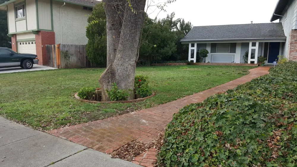 Local landscape installation experts serving Vacaville, CA - Mowtown Lawn Painting