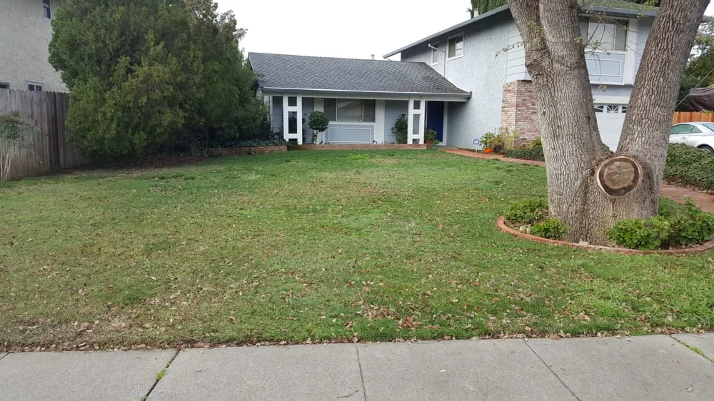 Custom lawn mowing service experts serving Vacaville, CA - Mowtown Lawn Painting