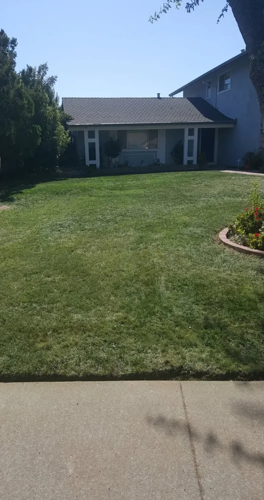 Reliable landscape installation for outdoor upgrades in Vacaville, CA by Mowtown Lawn Painting