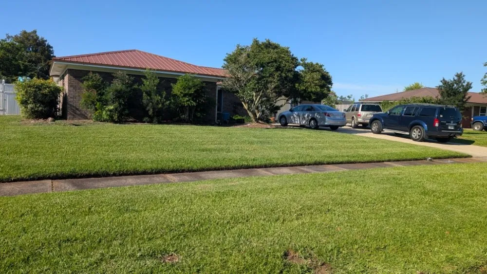 Local yard cleanup service for outdoor upgrades across Panama City, FL - Mowtown Lawncare