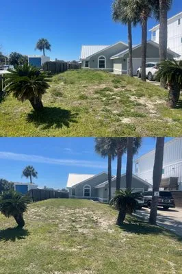 Mowtown Lawncare Logo