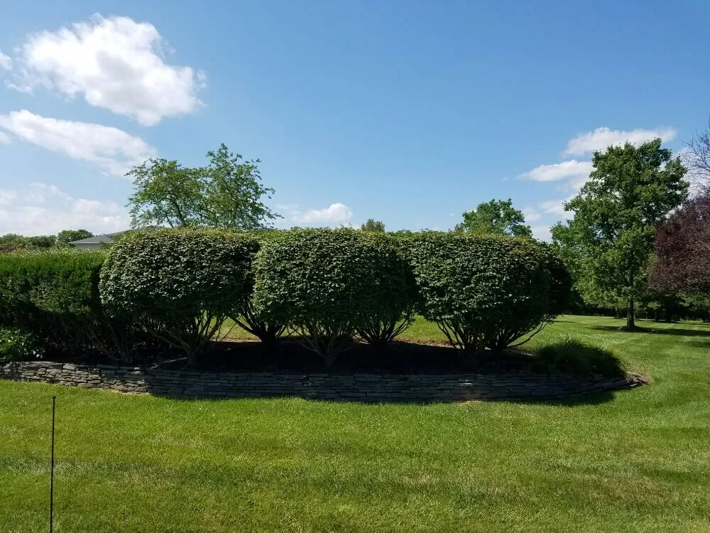 Professional residential landscaping for outdoor upgrades in Farmington, AR by Mowtown Lawns