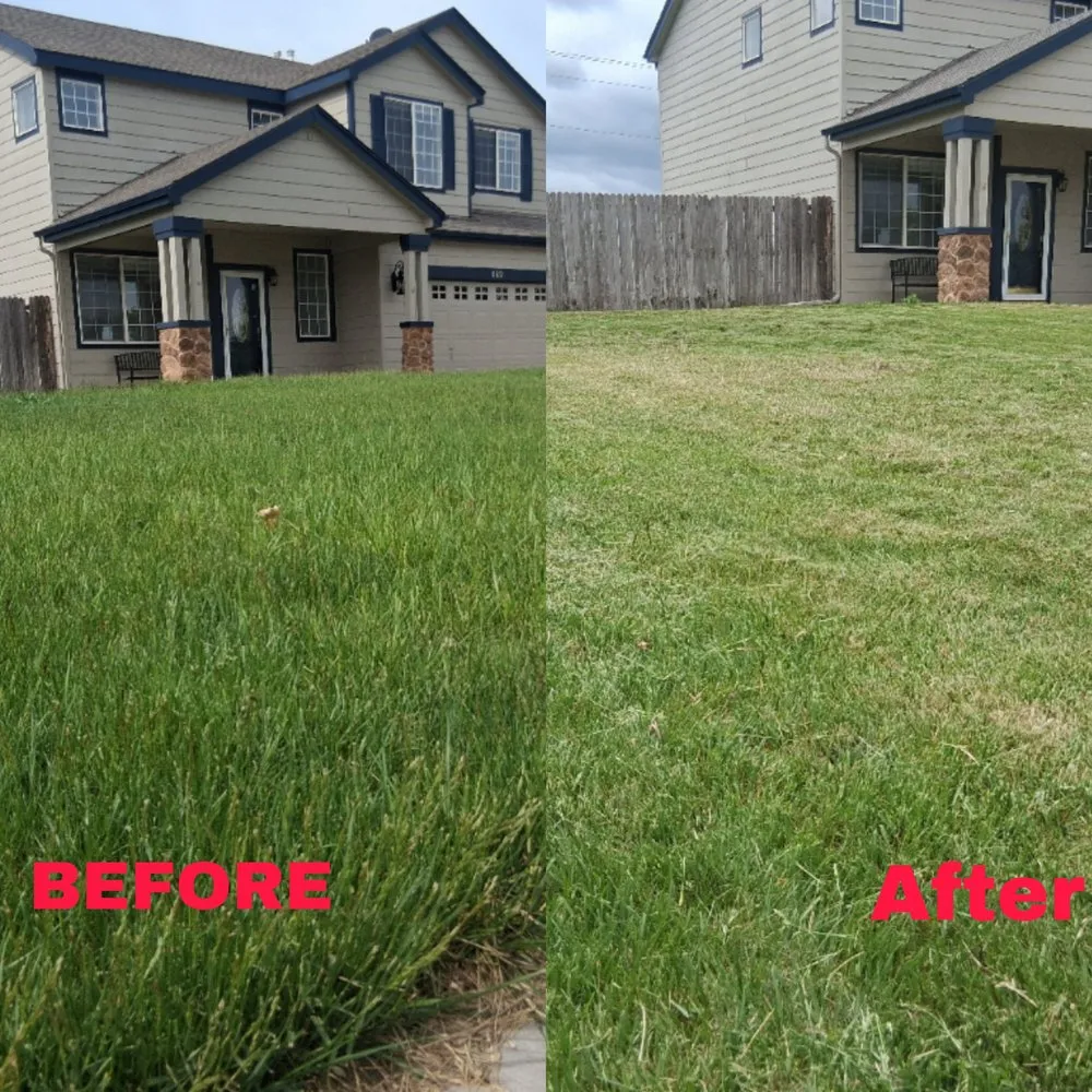 Trusted yard cleanup service for outdoor upgrades in Pueblo West, CO by MowTown