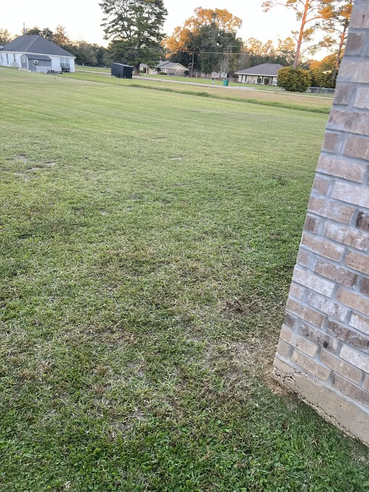 Local lawn mowing service in Independence, LA by Mowtrucking